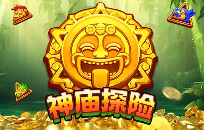 8x8小皇冠国产